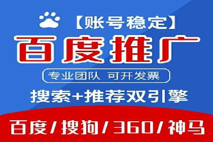 SEM运营公司成功案例解析